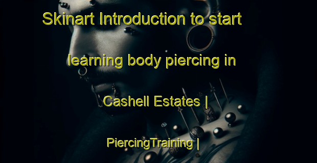 Skinart Introduction to start learning body piercing in Cashell Estates | PiercingTraining | PiercingClasses | SkinartTraining-United States